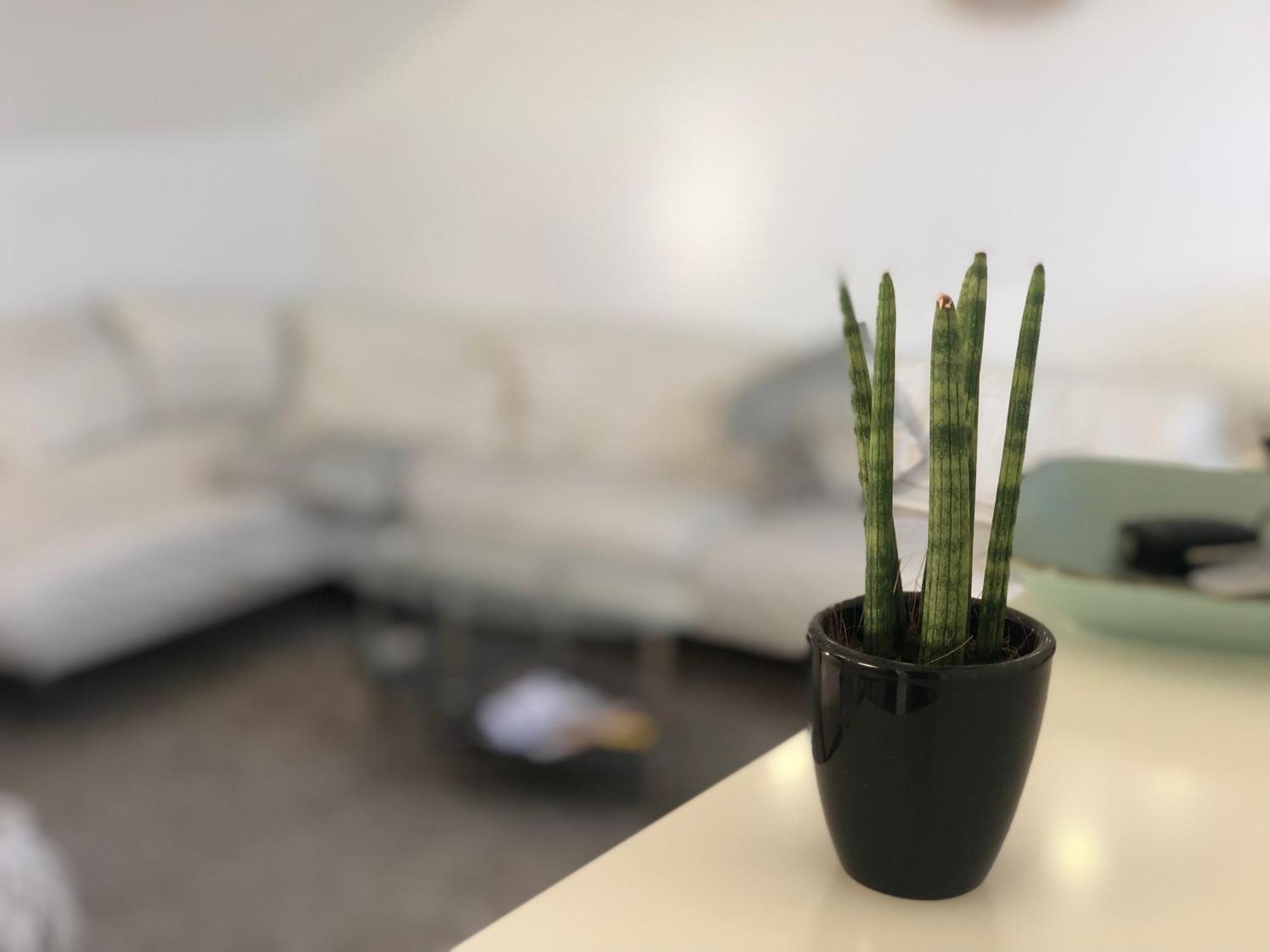 Caleva'S Bnb Pforzheim Esterno foto