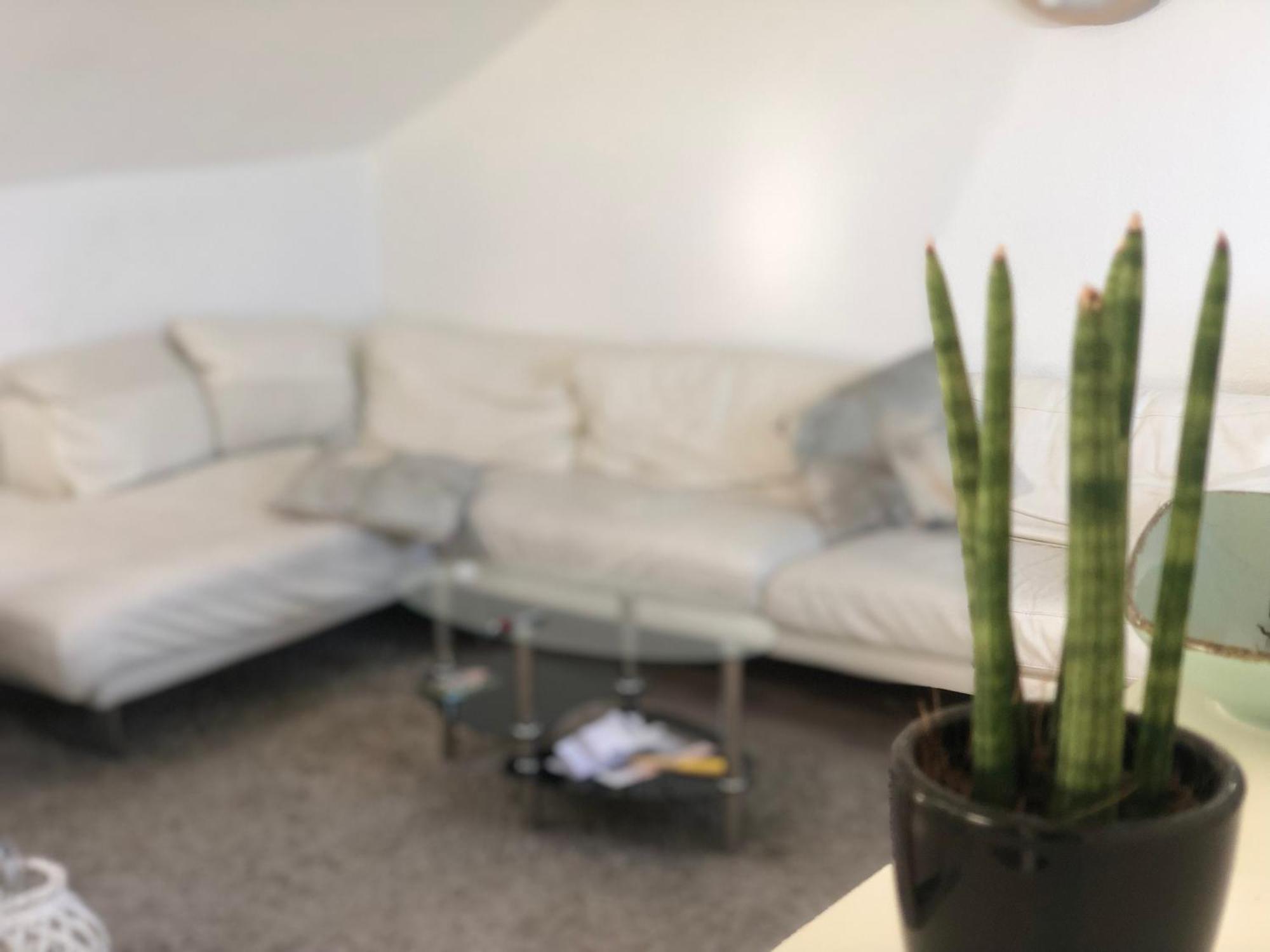 Caleva'S Bnb Pforzheim Esterno foto